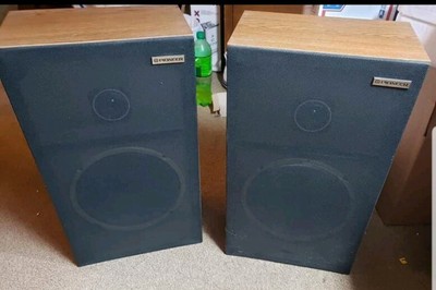 cs g303 pioneer